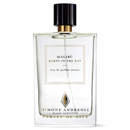 Simone Andreoli Malibu Party in the Bay