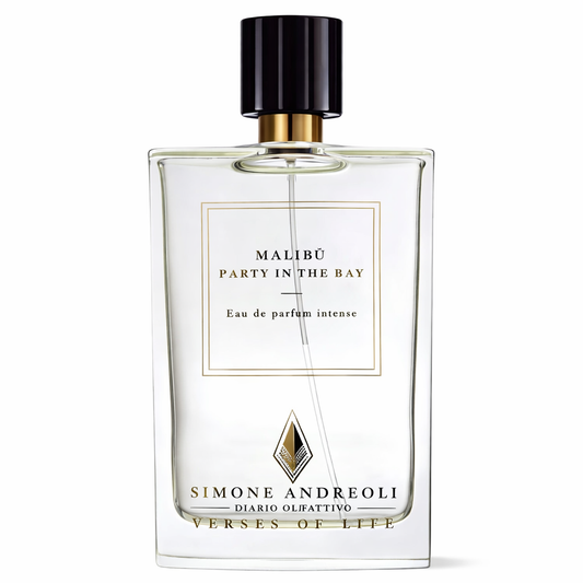 Simone Andreoli Malibu Party in the Bay